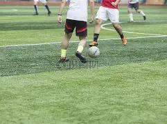 跨境教育中,心教职工篮,球赛荣获佳,中超买球(中国)官方网站,中超买球网官网入口,中超买球官方网站,中超买球官方在哪买