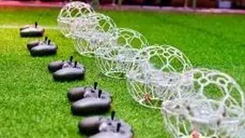 程莉莎坦诚不喜农村养老生活，郭晓东坚定支持