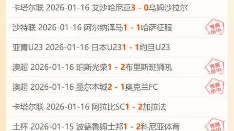 【热刺主场激情对决！免费观战多特盛宴】